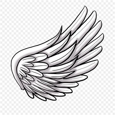 pngwing.com.png|Wing PNG, Vector And Transparent Clipart Images.